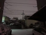 2010_yuki02.jpg