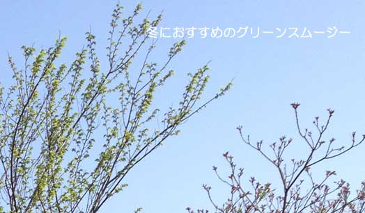 冬にオススメのグリーンスムージーの材料とは？