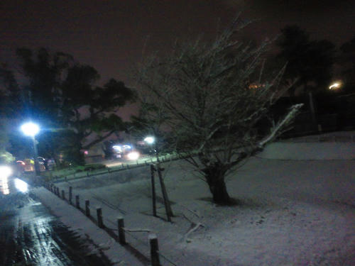 20101230_snow.jpg