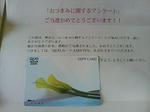 20110704095958.jpg