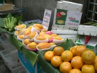 fruits.jpg