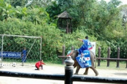 soccer.jpg