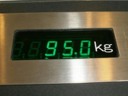 95kg.jpg