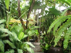 s-garden.jpg