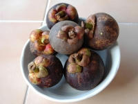 s-mangostin1.jpg