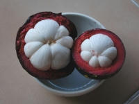 s-mangostin2.jpg