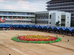 undokai082.jpg