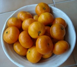mikan1.jpg