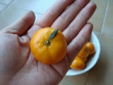 mikan2.jpg