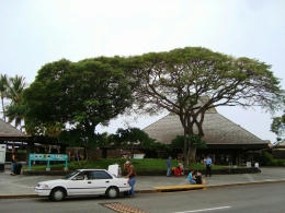 hawaii1-3.jpg