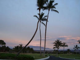 hawaii3-6.jpg