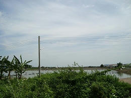 mea018.jpg