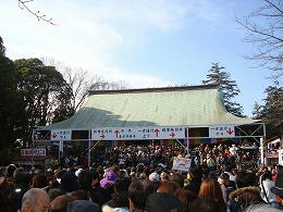 daruma1001.jpg