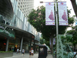 orchard2.jpg