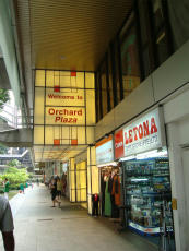 orchard4.jpg