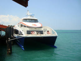 cruise3.jpg