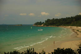binsea1.jpg