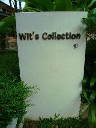wits4.jpg