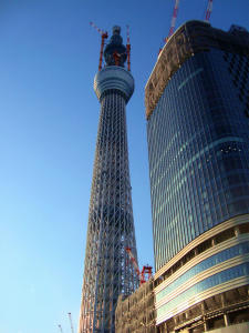 DSC06320.jpg