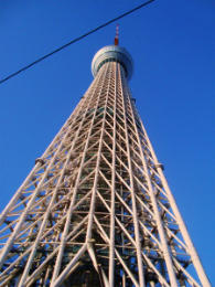 DSC06333a.jpg