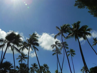 DSCN2613.jpg