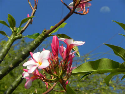 DSCN2636.jpg