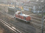 IMG_0421ch.jpg