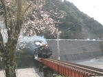 IMG_0443ch.jpg