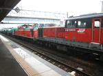 IMG_1033.JPG