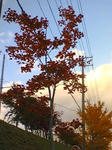 TS2A0190.JPG