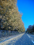 a660d4e9jpeg