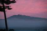 IMG_9726.jpg
