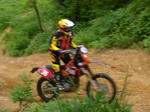 P1000176.JPG