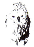 7d1a9807.jpg
