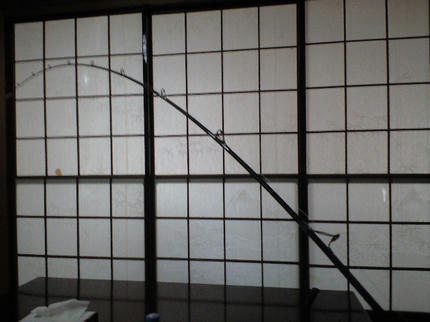 CA390708.JPG
