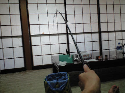 CA390709.JPG