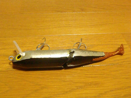 PA210702.jpg