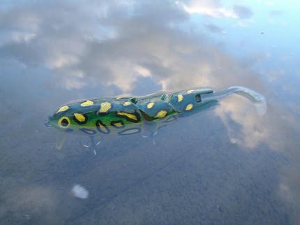 PB030714.jpg