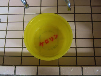 PA091417.jpg