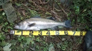 20111016105948.jpg