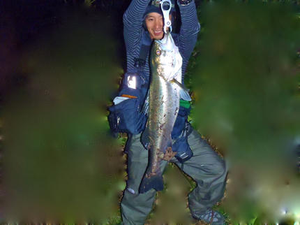 PB031451_2.jpg