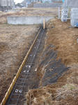 DSC01332.jpg