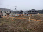 DSC01341.jpg
