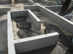 DSC01356.jpg