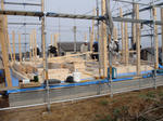 DSC01371.jpg