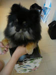 DSC01709.jpg