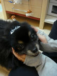 DSC01733.jpg