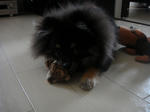 DSC00949.jpg
