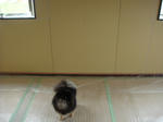 DSC01765.jpg