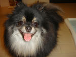 DSC01811.jpg